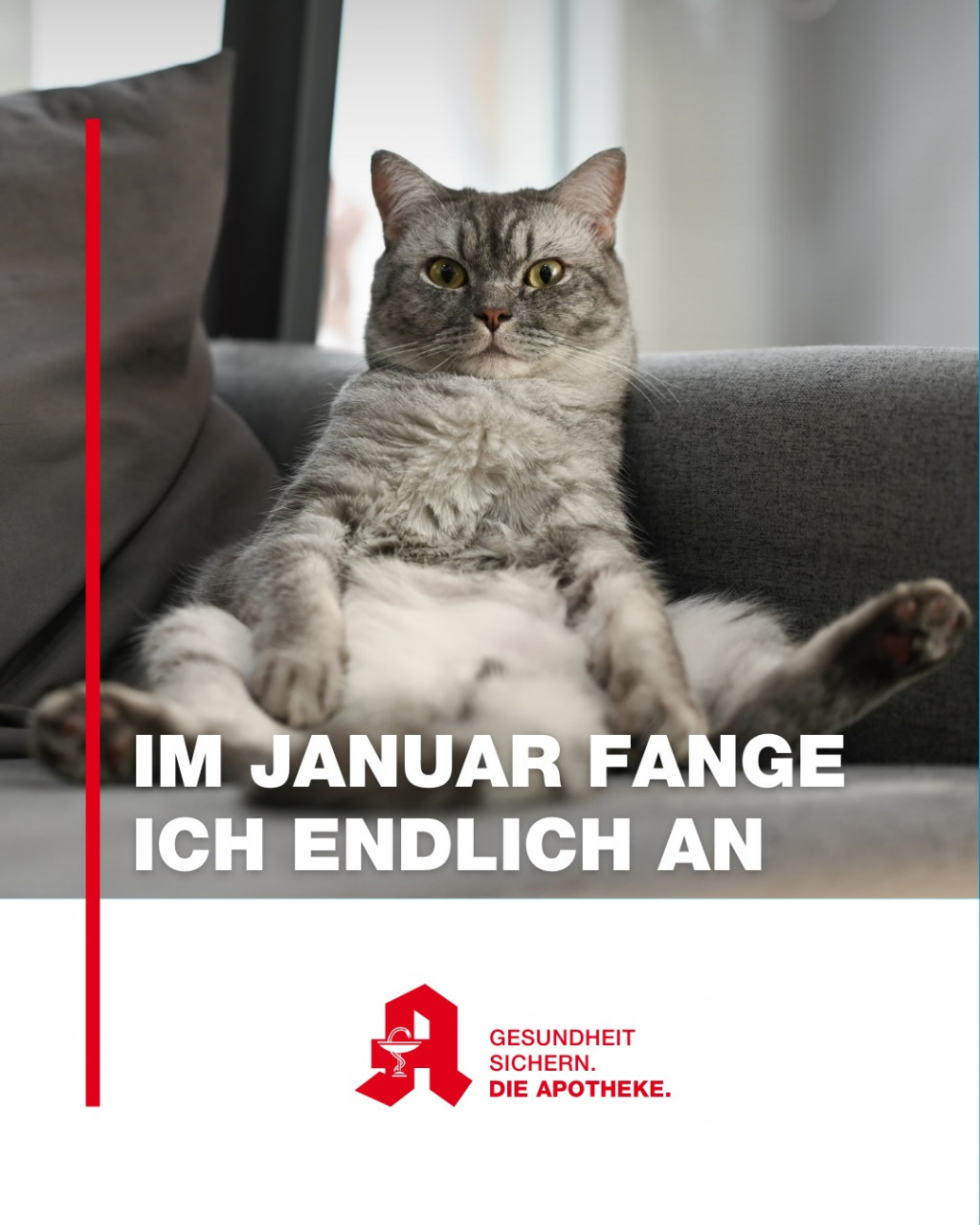 Neujahrsvorsätze