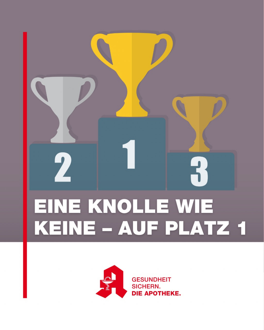 Ingwer - Arzneipflanze des Jahres