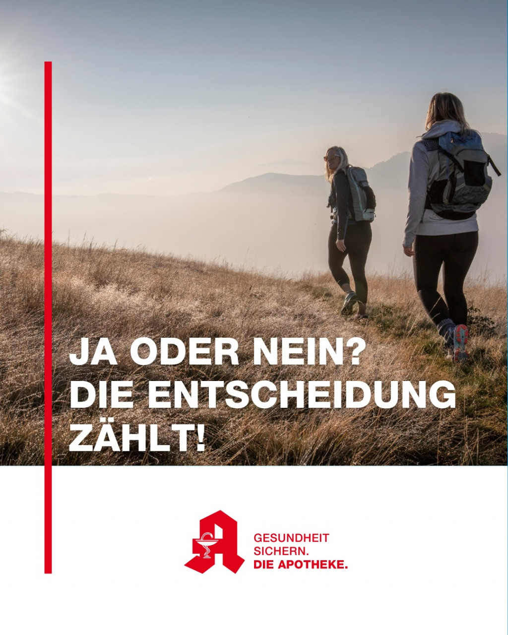 Organspende