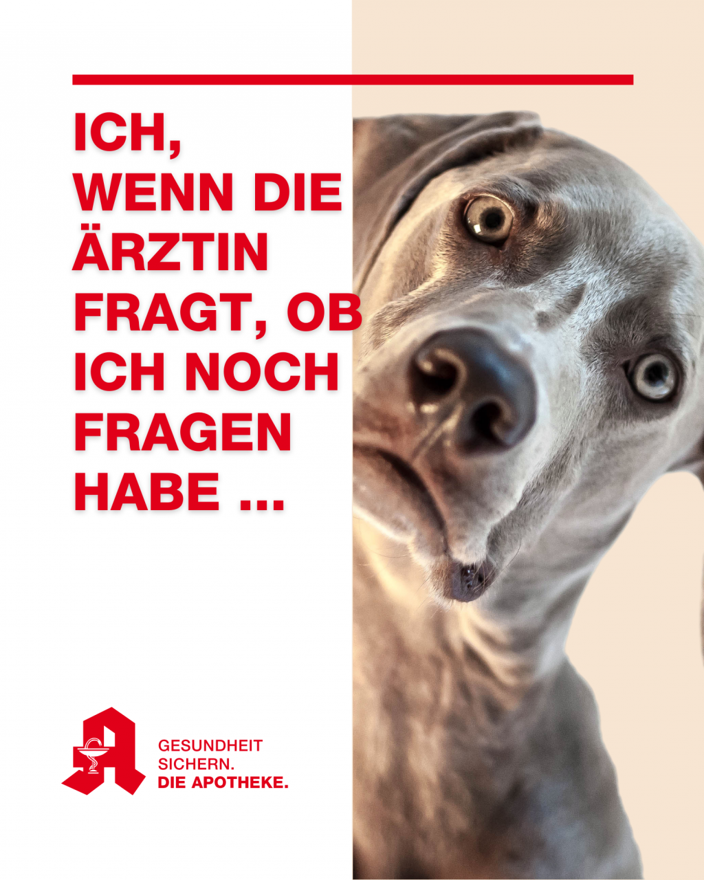 Arztbesuch gut vorbereiten